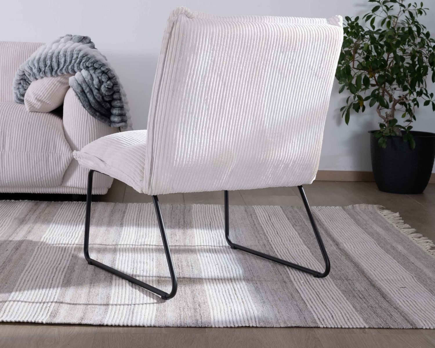 Lote de 2 sillones sin reposabrazos de terciopelo acanalado blanco «Calvin» con patas de metal