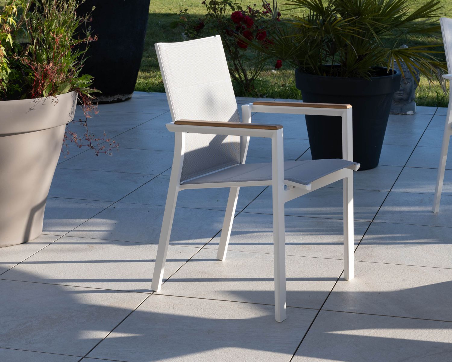 Silla de comedor de diseño especial para exterior «Dolce Vita», de aluminio blanco con reposabrazos de teca 