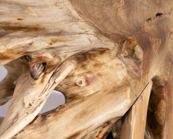 Consola de raíz de teca natural con tablero de cristal «Jungle»